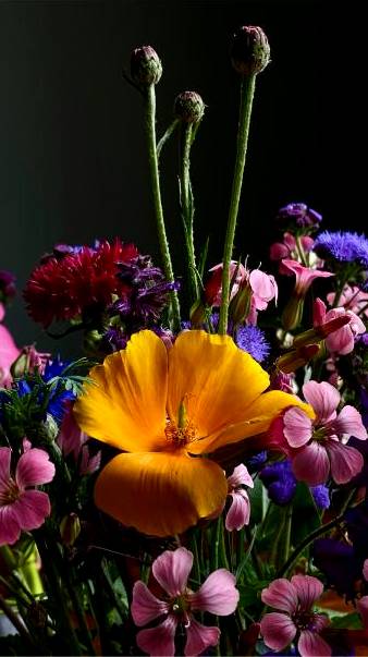 Bouquet making online