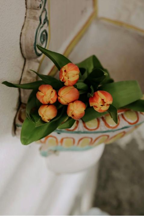 Wrapped bouquet with ribbon
