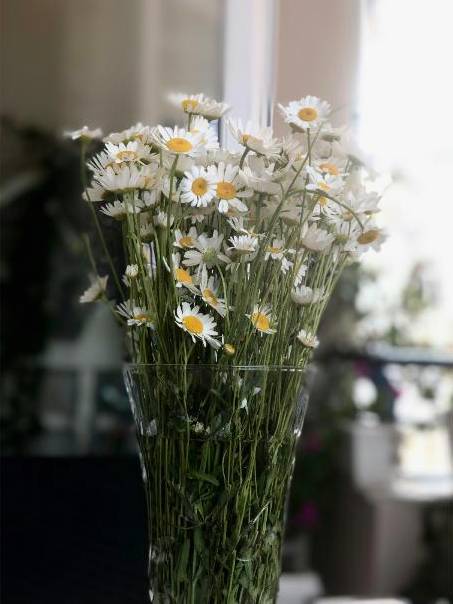 Kids arranging flowers