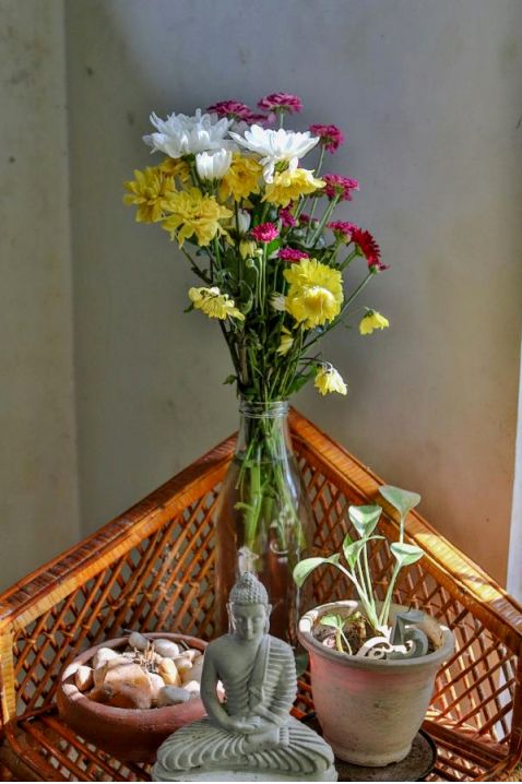 Bright seasonal stems